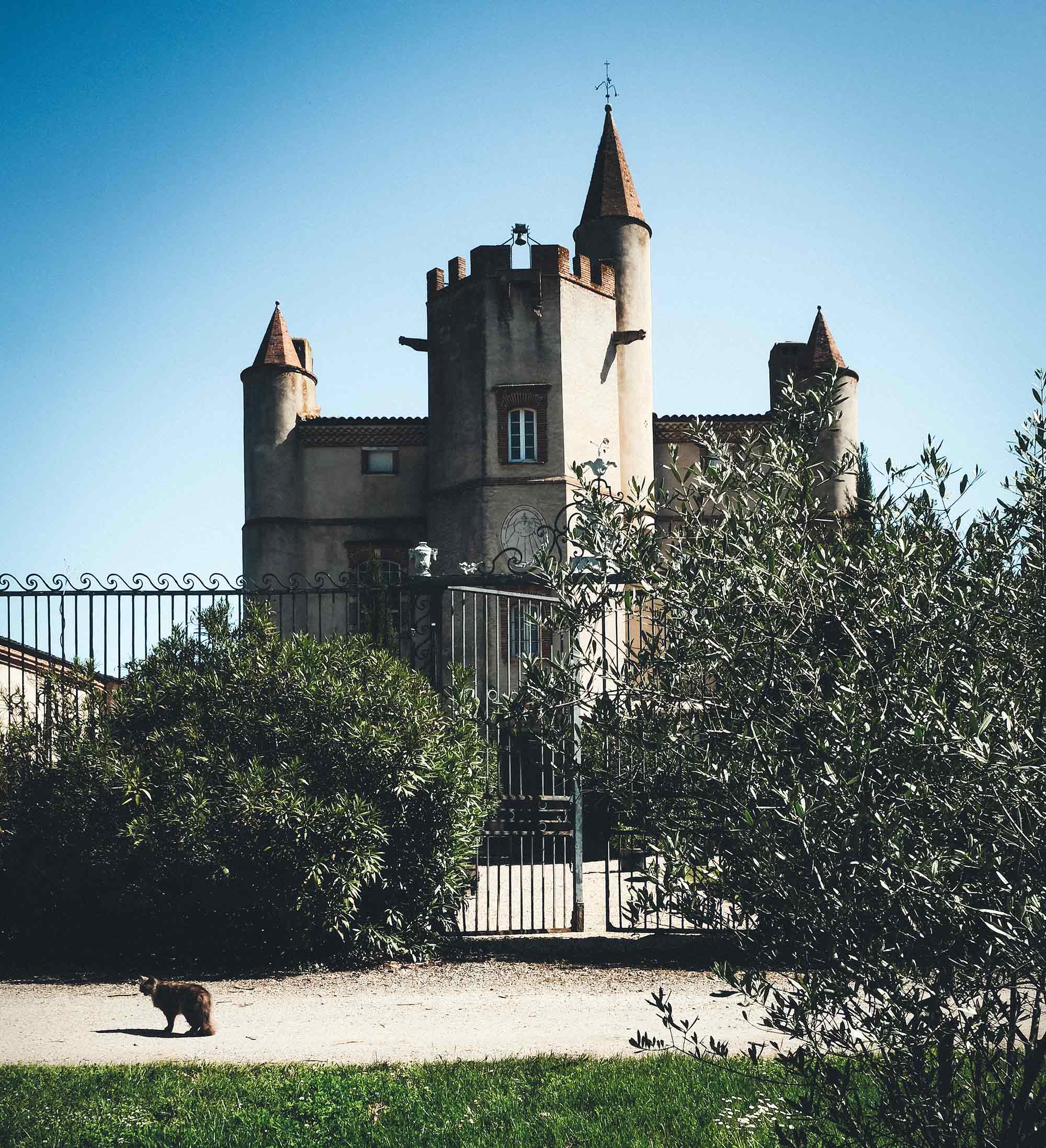 Activités touristiques proche de Saint-Sulpice sur Lèze