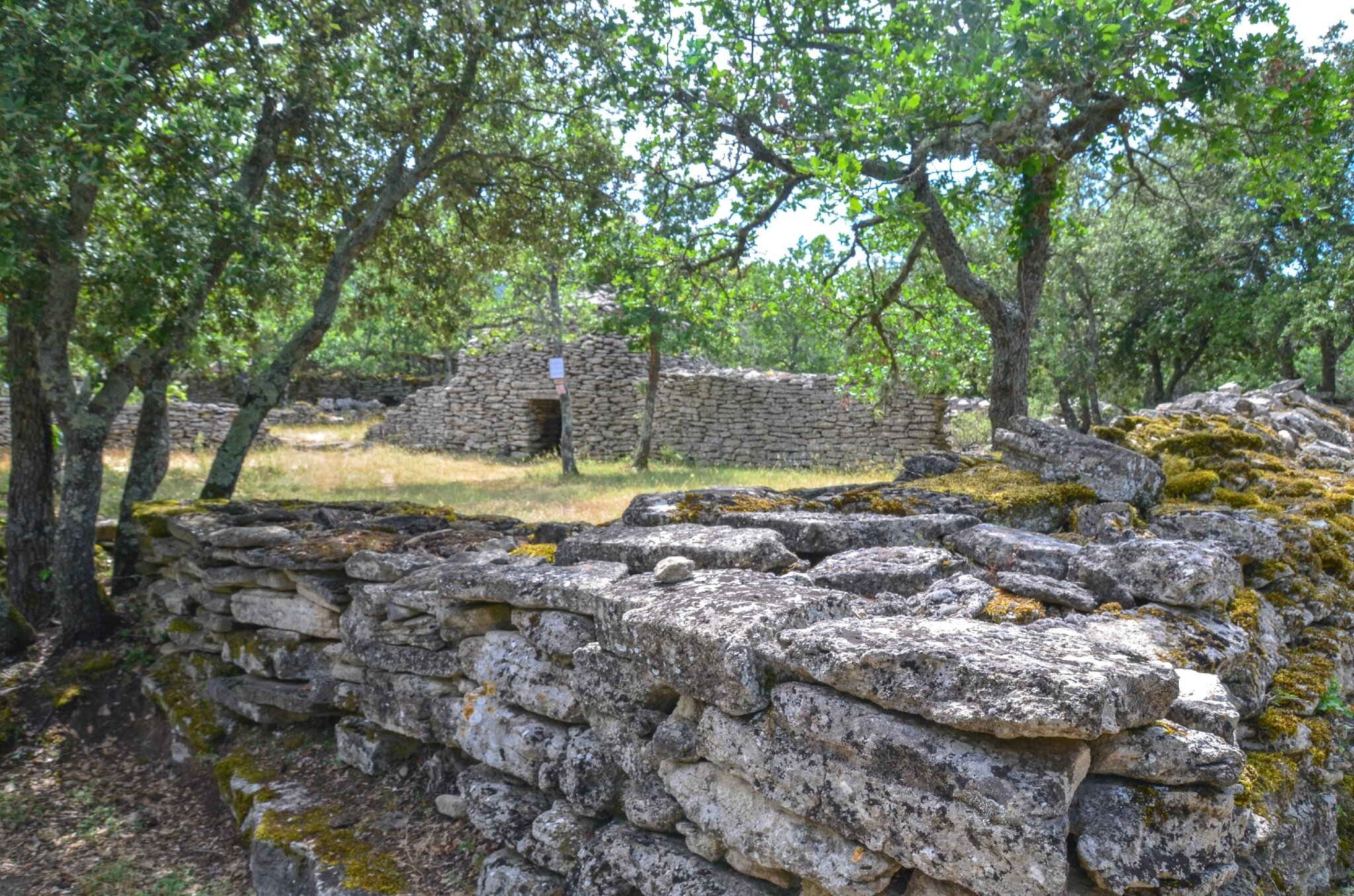 Activités touristiques proche de Saint-Sulpice sur Lèze