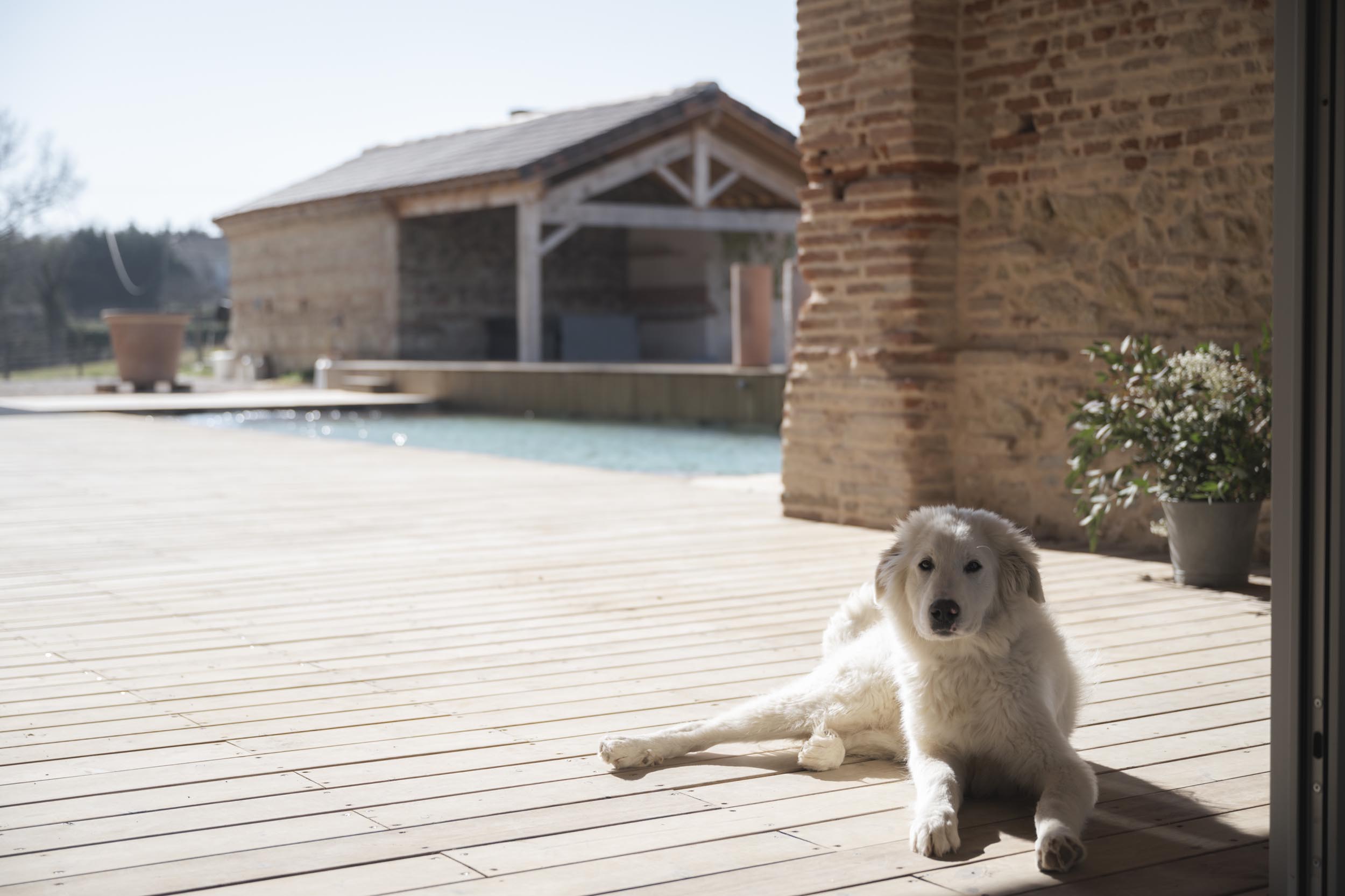 Maison d'hôtes de prestige avec piscine proche de Toulouse à Saint-Sulpice sur Lèze