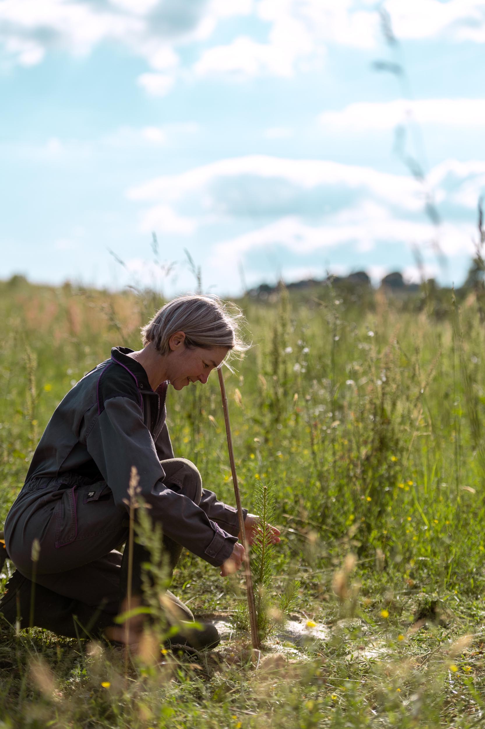 Exploitation agricole agroforestière verger à champignons à Toulouse