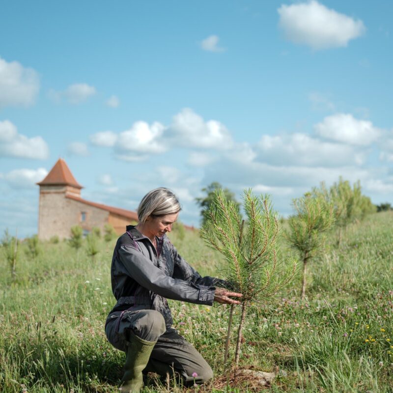 Exploitation agricole agroforestière verger à champignons à Toulouse