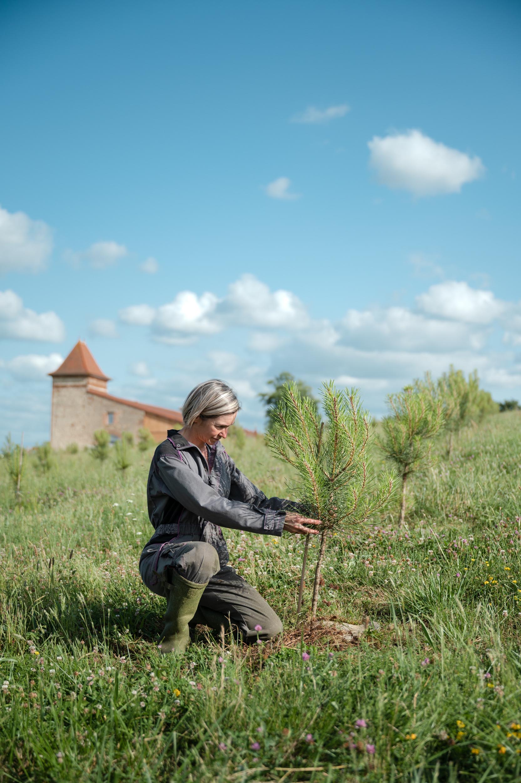 Exploitation agricole agroforestière verger à champignons à Toulouse