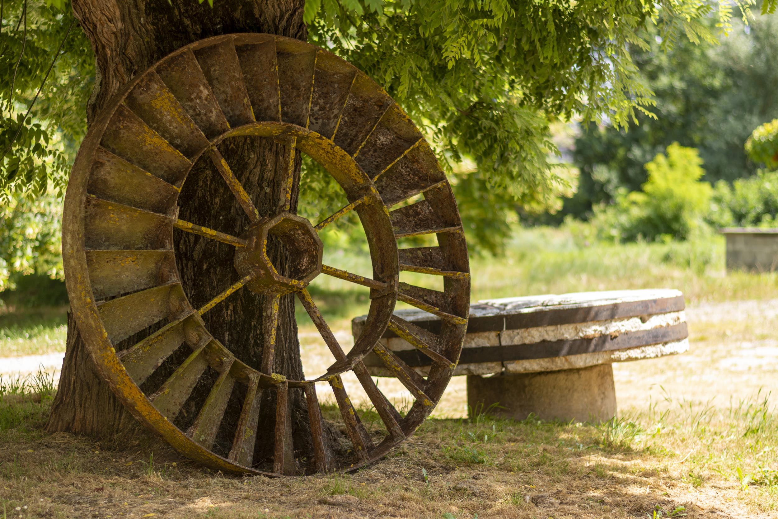 Activités touristiques proche de Saint-Sulpice sur Lèze