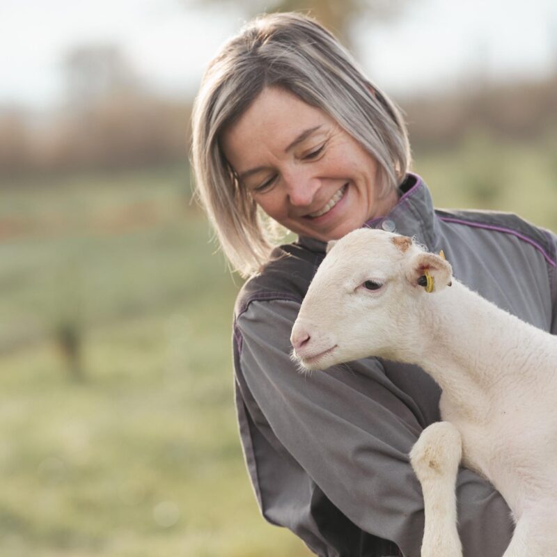 Séjour à la ferme maison d'hôtes proche Toulouse